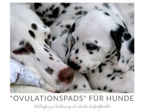 Ovulationspads